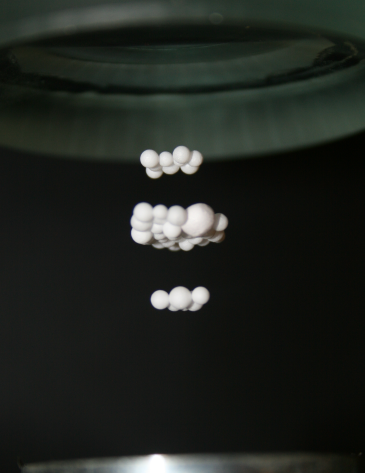 Royal Society Science Exhibition article 1